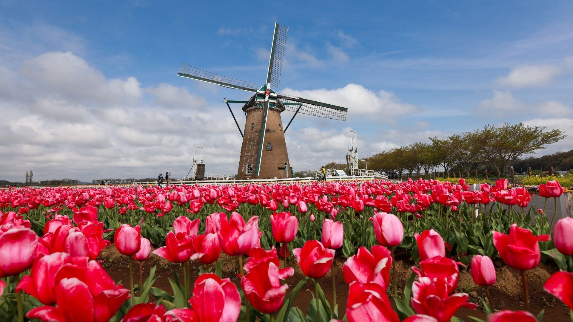 Countries like China, Taiwan, Japan and South Korea have been engaging in local business activities related to finance, manufacturing, electronics, and technology.  There are two primary ways to enter the Dutch market