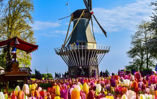 Netherlands Public Holiday Calendar 2026: Employer Guide & Compliance Insights