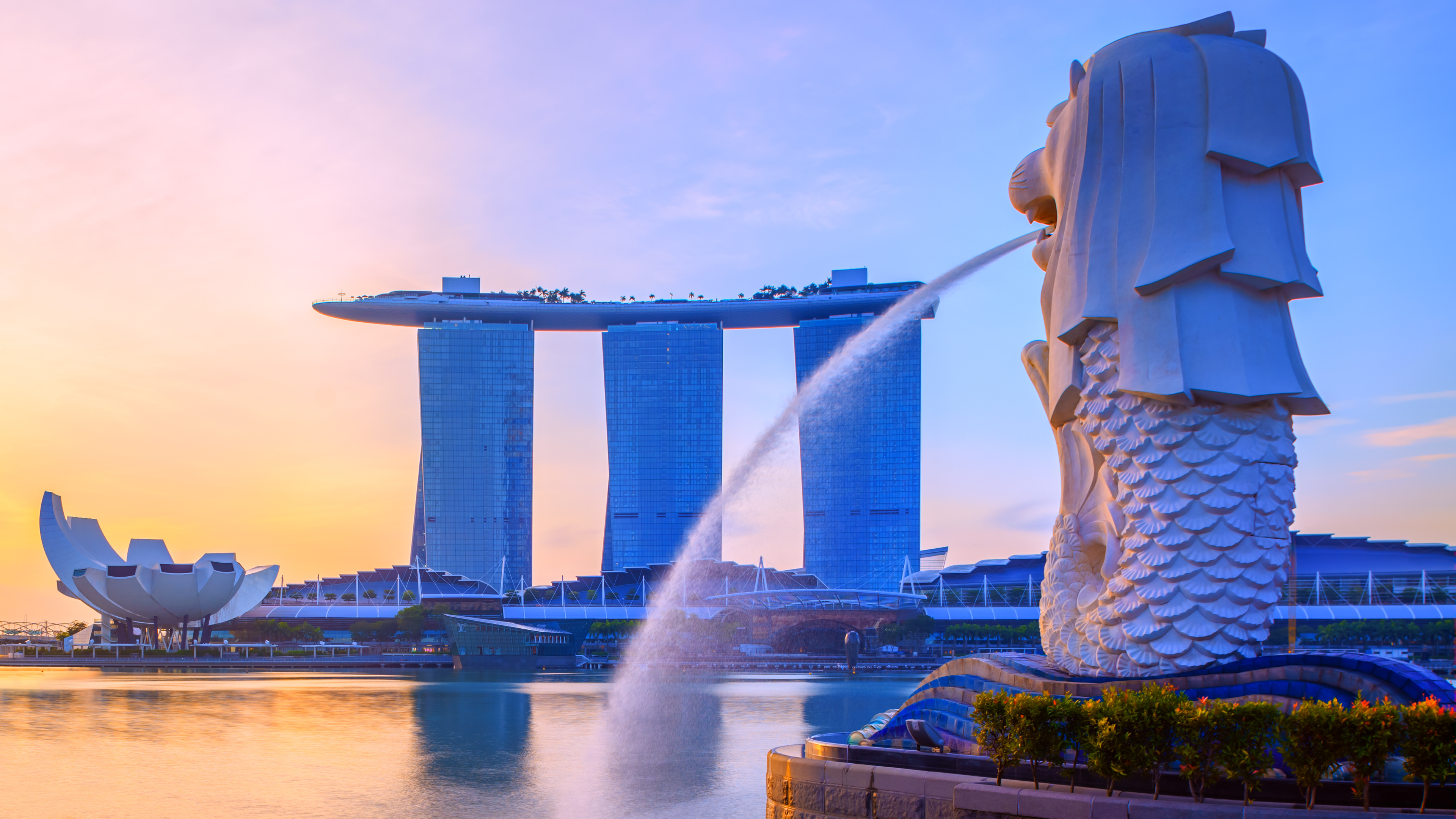 Why Businesses Should Enter the Singapore Market?