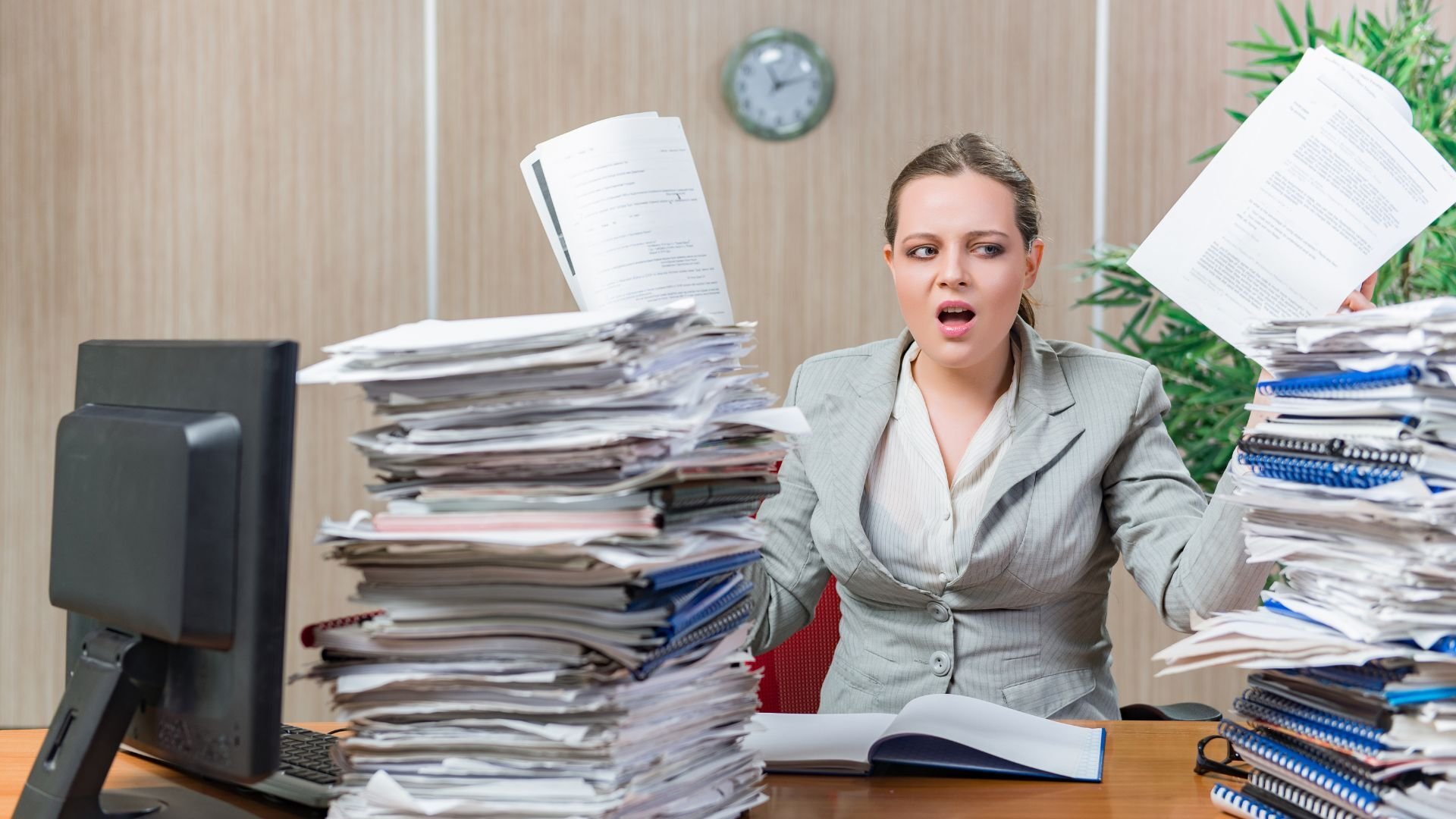 When establishing a presence in the Netherlands, there are four different types of business registration based on entity type