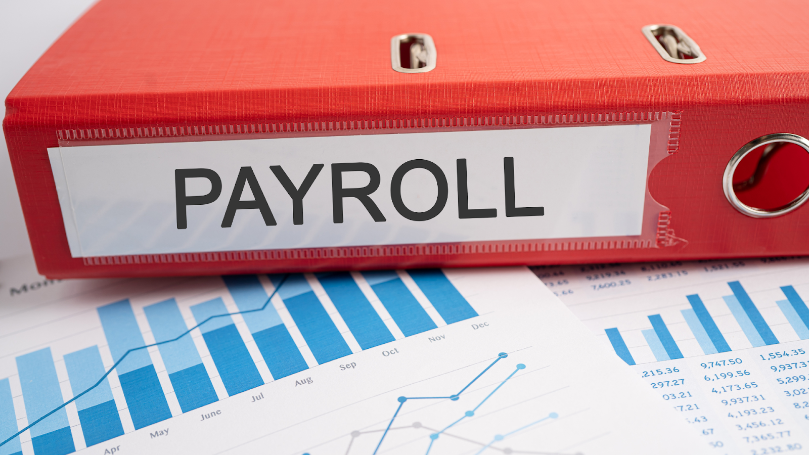 Since India’s bank holidays and holiday calendars are different in each state, employers should look at the workforce and their working location, then set payroll timeline, approvals, and payment dates to accommodate the variations.